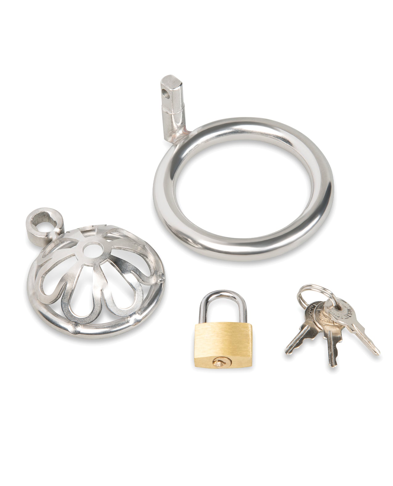 Stainless Steel Turtle Head Chastity Cage