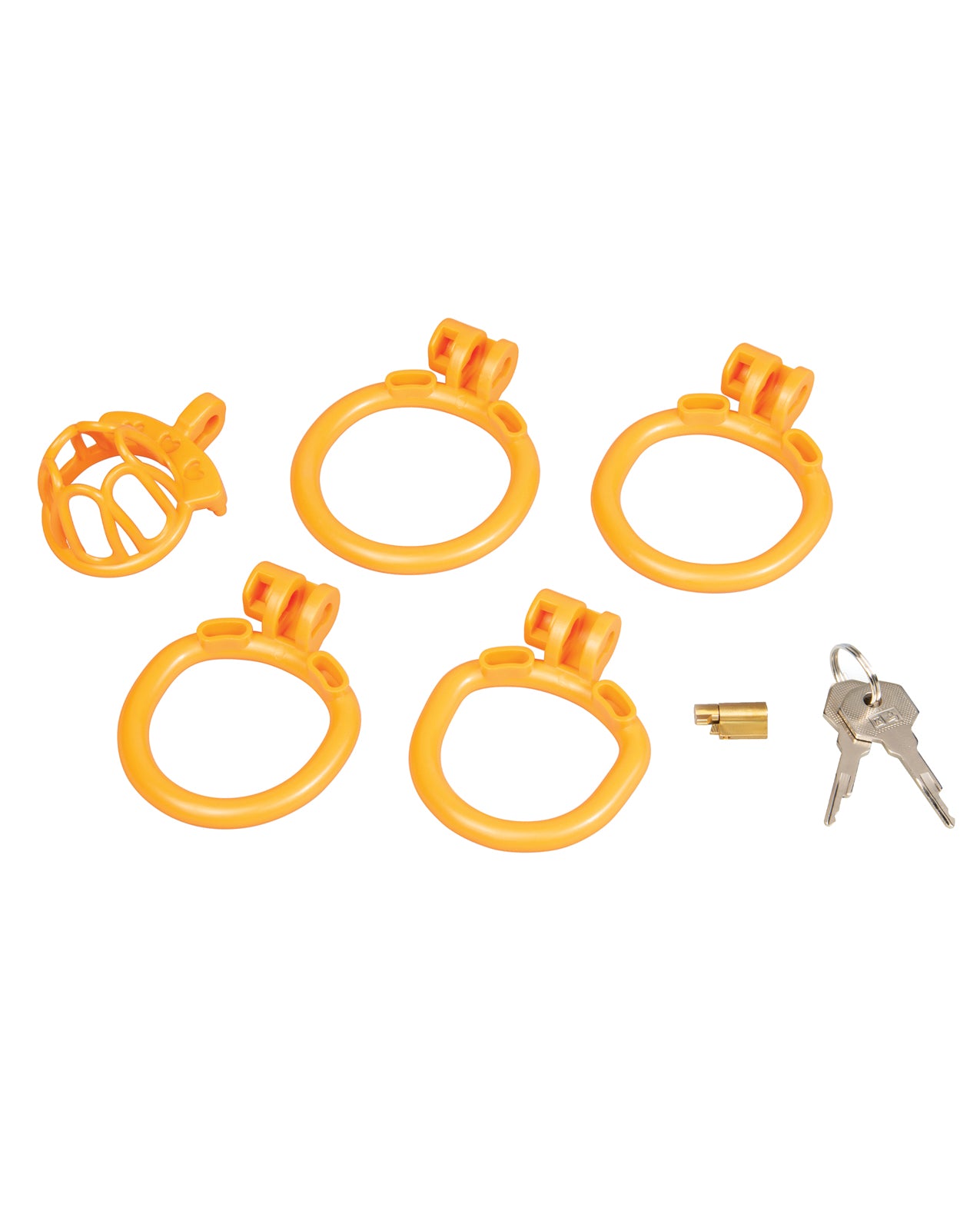 Fenced-In Inmate Mini Cock Chastity Case