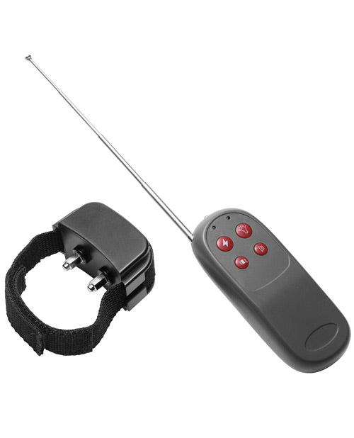 Master Series Cock Shock Remote CBT Electric Cock Ring