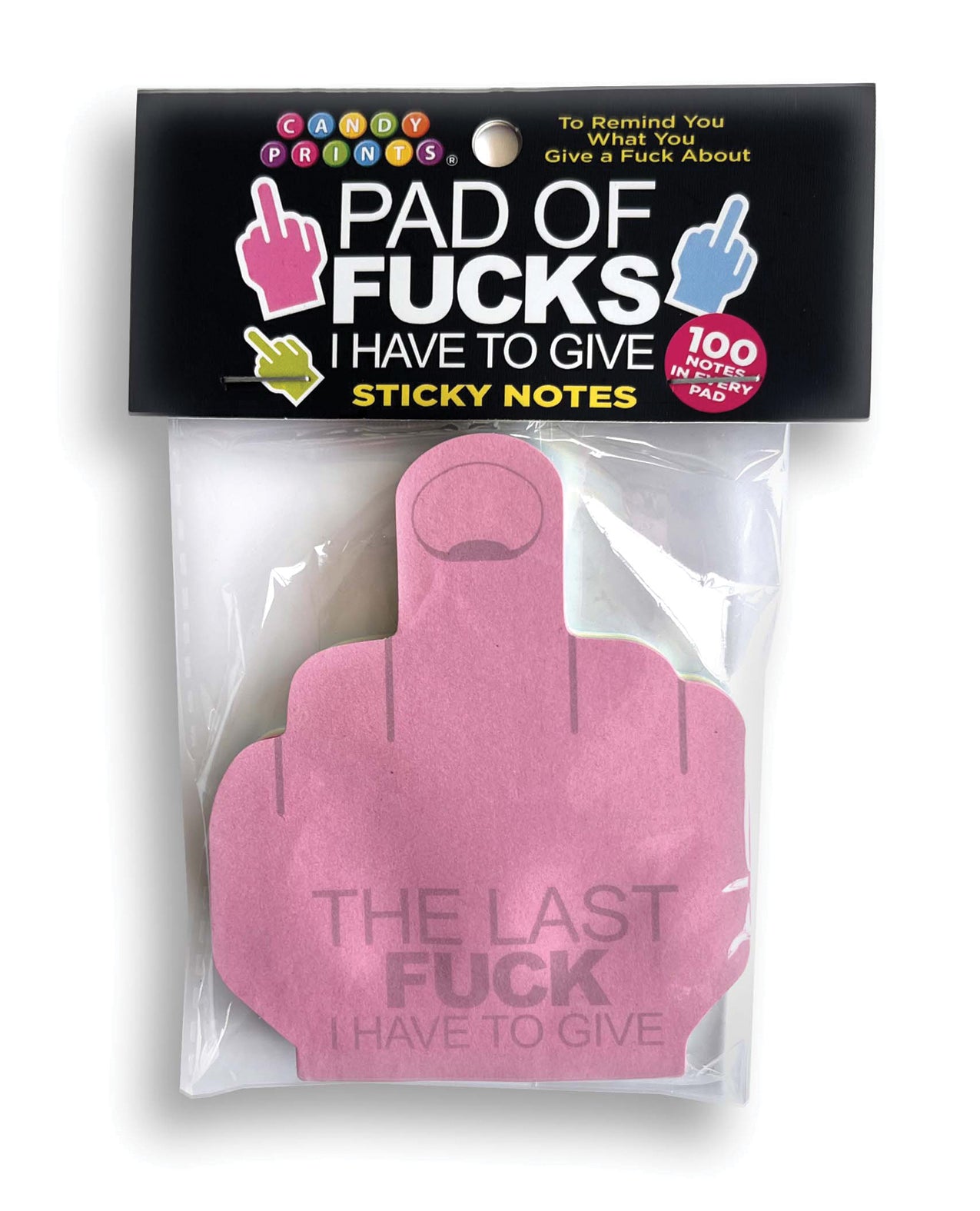 Last Fuck I Have to Give Sticky Notes - 100 Notes Per Pad
