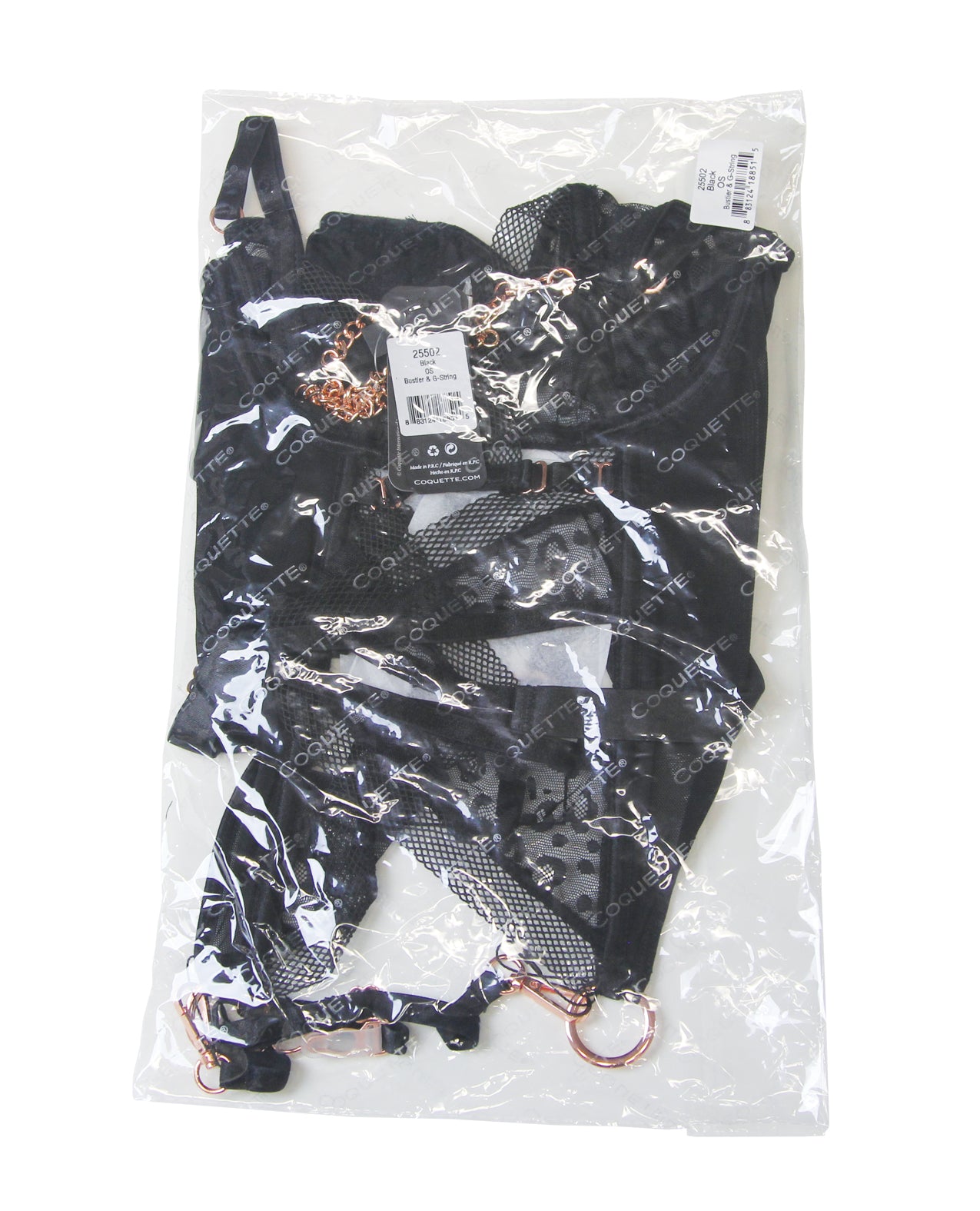 Pleasure Collection Feline Fatale Bustier & G-String 2 pc Set (Stockings not Included) - Black QN