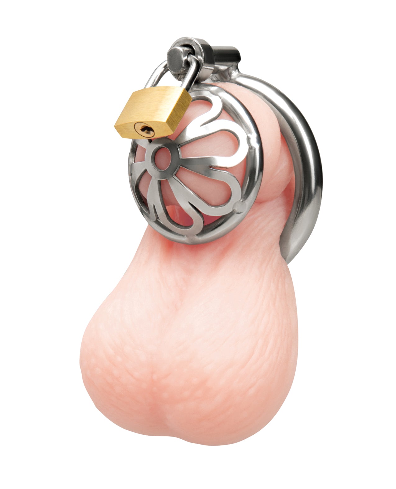 Stainless Steel Turtle Head Chastity Cage
