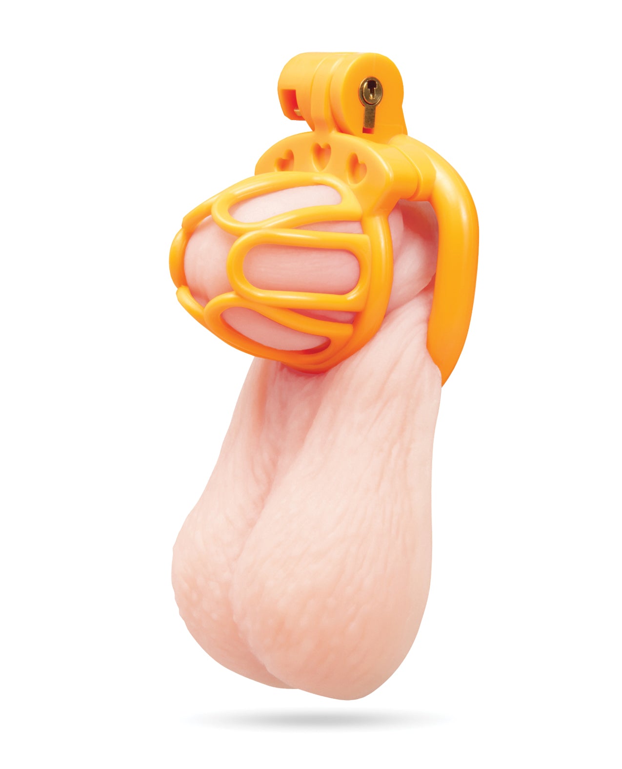 Fenced-In Inmate Mini Cock Chastity Case