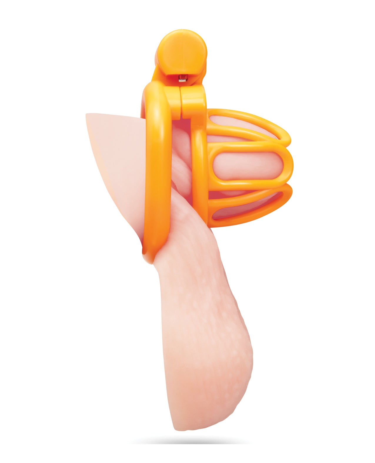Fenced-In Inmate Mini Cock Chastity Case